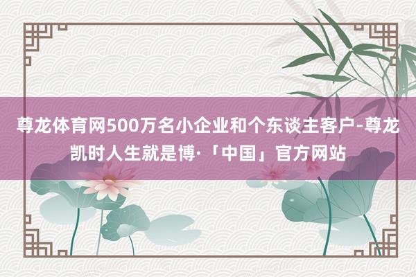 尊龙体育网500万名小企业和个东谈主客户-尊龙凯时人生就是博·「中国」官方网站